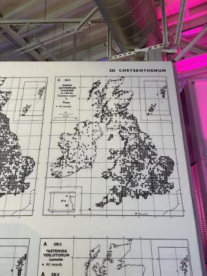 british-flora-punch-card-map