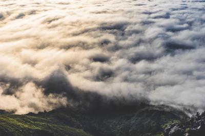 mount-tamalpais-fog-aaron-lee