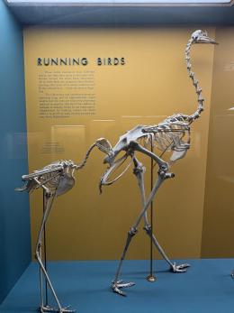 IMG_6490 2